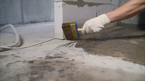 Top rated local Wet Basement Repair specialists in Rixeyville, VA